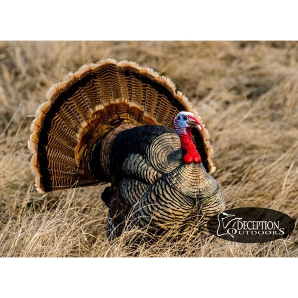 Deception Decoy's Strutting Tom Turkey Decoy - DEGuns